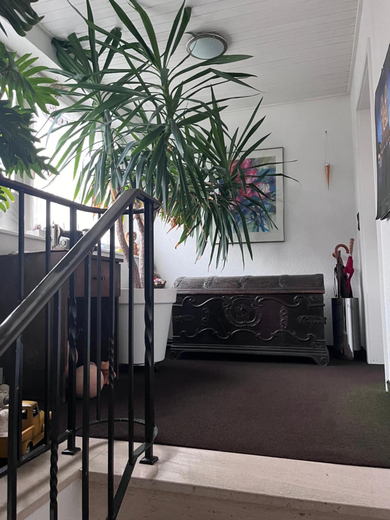האמלן Helles Apartment Mit Balkon In Ruhiger Lage מראה חיצוני תמונה